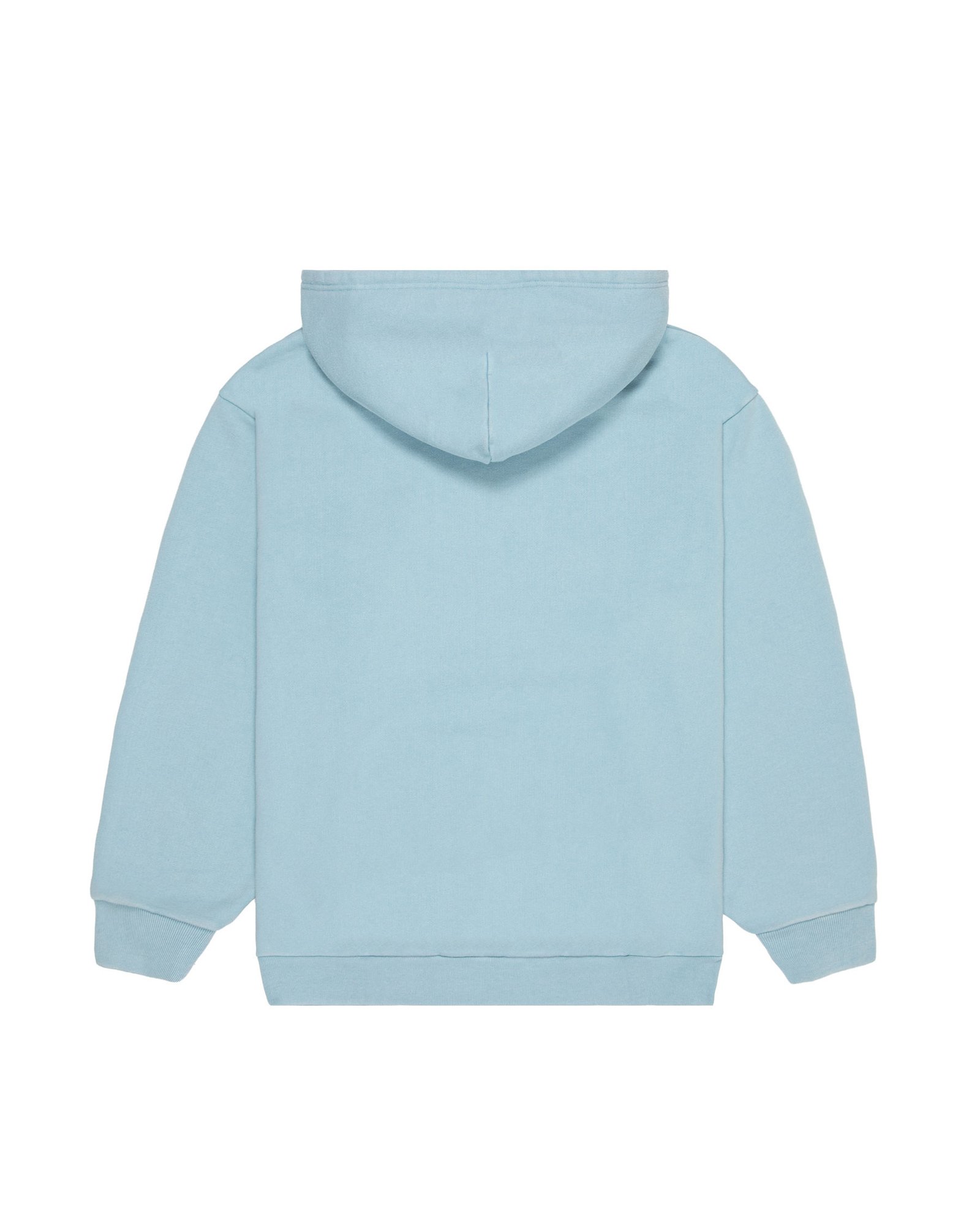 Washed Logo Hoodie Lt Blue